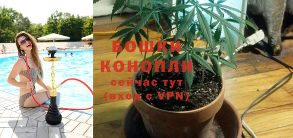 прущие крисы Костерёво