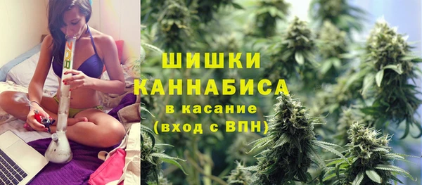 прущие крисы Костерёво